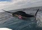 All Inclusive Fishing Trip to Guatemala Luxury Package PF