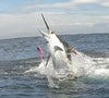 All Inclusive Fishing Trip to Guatemala Luxury Package PF