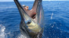 All Inclusive Fishing Trip to Guatemala Luxury Package PF
